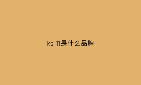 ks 11是什么品牌